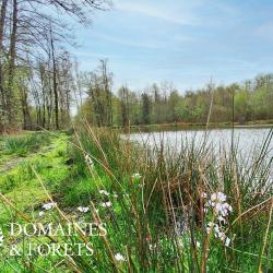 Domaine à vocation Cynégétique ou de Gites en Sologne 103 hectares DF-1034-S