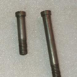 Lot de vis Schmidt Rubin G11 et K11