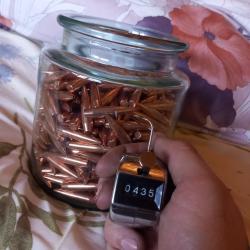 Ogive .338 partizan 250gr HPBT