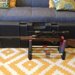 Carabine unique mod&egrave;le Dioptra