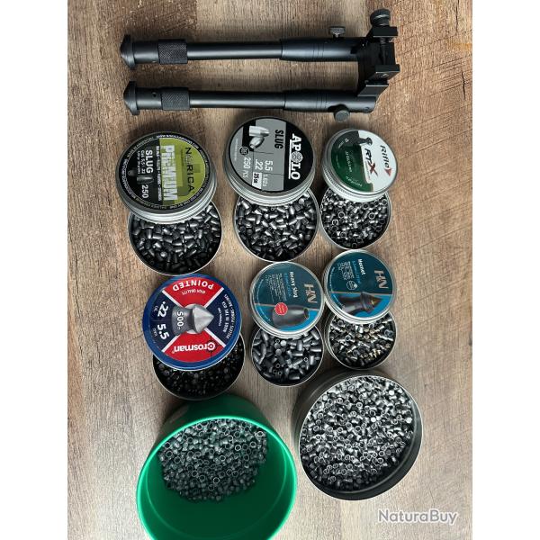 Gros lot de plombs 5,5mm-Cal 22