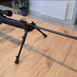 Gamo G-Magnum 1250 + pack haute puissance + bipied + lunette 3-9x40 + plombs