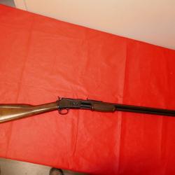 Carabine TAURUS THUNDERBOLT model  C45 en 45 Long Colt