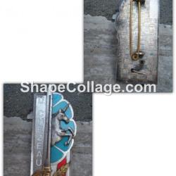 insigne  Promotion CHEZEAU LTN EMIA TAP