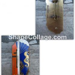 insigne  Promotion DEMARNE LTN EOR COET TAP Colo FFL  x