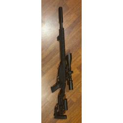 Carabine ruger précision rimfire 22lr