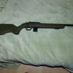 carabine diana 22lr carbon