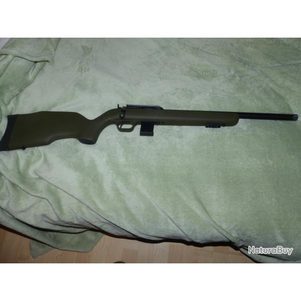 carabine diana 22lr carbon