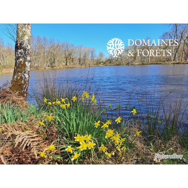 Propri�t� d'Agr�ment 6 Ha en Sologne DF-1043-S