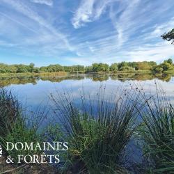 Propriété à vocation cynégétique en Sologne 96 hectares DF-1058-S