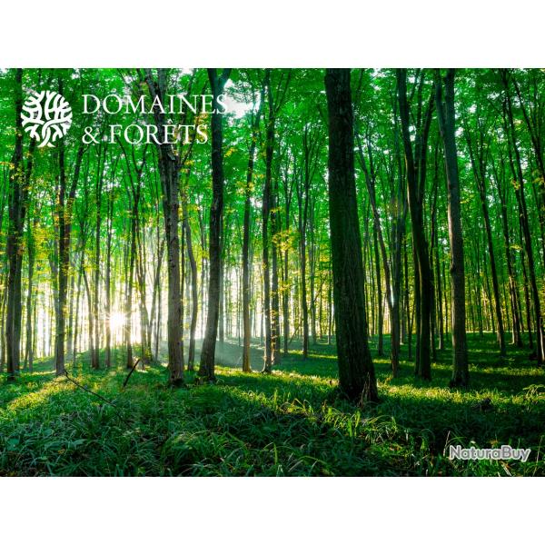 For�t dans le Maine-et-Loire d'environ 80 Ha DF-1077-A