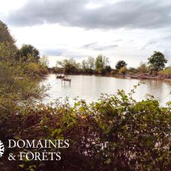 Domaine avec étang (36) d'environ 17 hectares DF-1141-B
