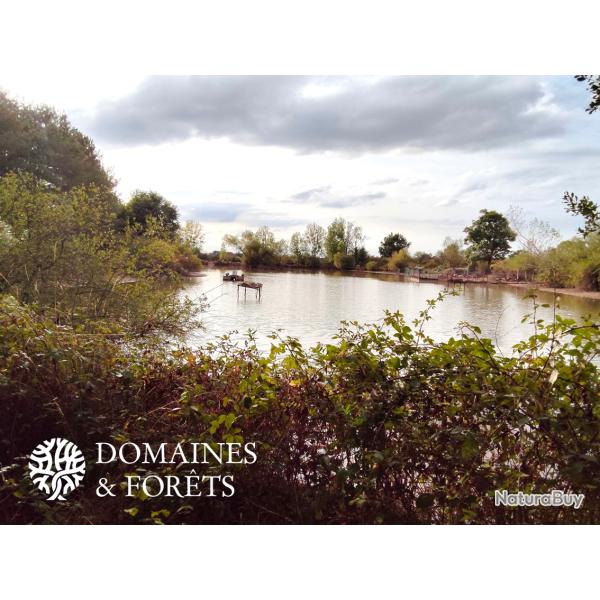 Domaine avec �tang (36) d'environ 17 hectares DF-1141-B