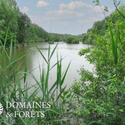 Domaine de Pêche et de Loisirs en Saône-et-Loire 13 hectares DF-1100-A