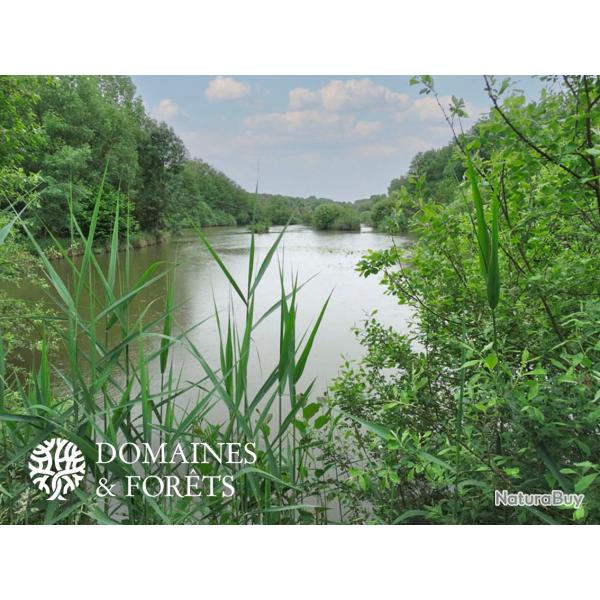 Domaine de P�che et de Loisirs en Sa�ne-et-Loire 13 hectares DF-1100-A