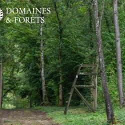 Propriété Exceptionnelle avec 67 hectares de bois dans le Vexin DF-1117-A