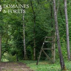 Propri&eacute;t&eacute; Exceptionnelle avec 67 hectares de bois dans le Vexin DF-1117-A