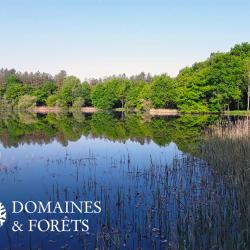 Territoire avec étang dans l'Indre (36) d'environ 3,6 hectares DF-1119-A