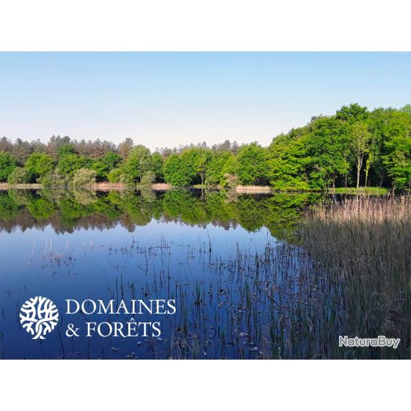 Territoire avec �tang dans l'Indre (36) d'environ 3,6 hectares DF-1119-A