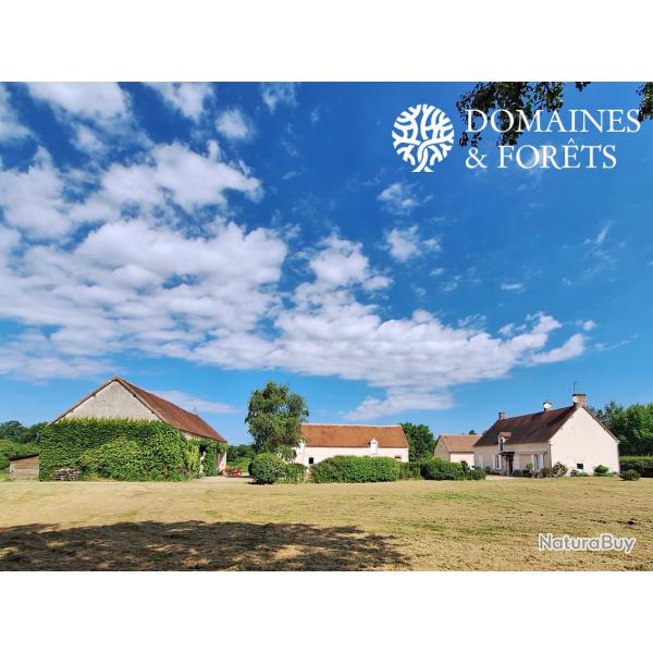 Propri�t� � vocation Cyn�g�tique, d'Agr�ment et �quine en Sologne d'environ 45 hectares DF-1120-S