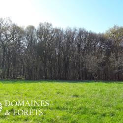 Propriété de Chasse et d'Agrément aux portes de Tours d'environ 35 hectares DF-1122-A