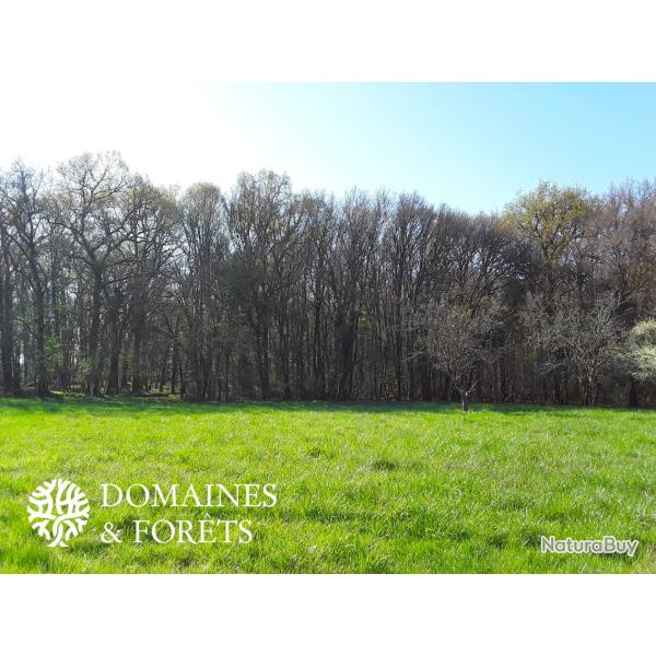 Propri�t� de Chasse et d'Agr�ment aux portes de Tours d'environ 35 hectares DF-1122-A