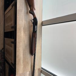 Beretta A301 calibre 20/71