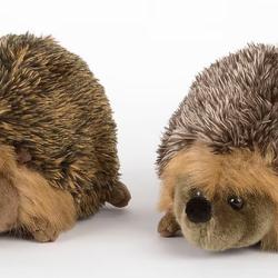 Couple de Hérissons 22 cm