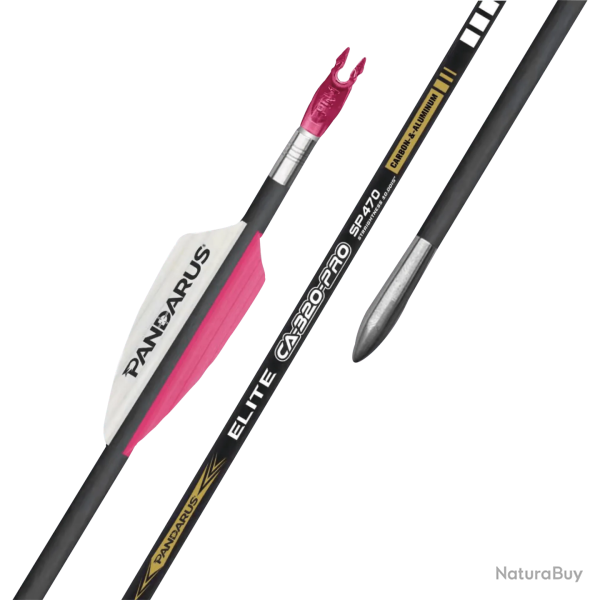 Tube nu flche Pandarus CA320 Pro (par 12) - 620