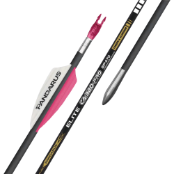 Tube nu flèche Pandarus CA320 Pro (par 12) - 720