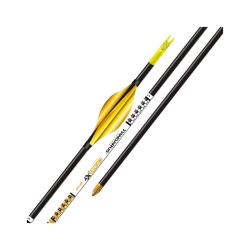 Tube nu flèche Pandarus CA320XT (par 12) - 650