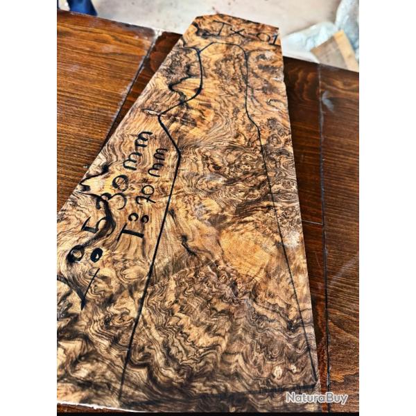 bauche magnifique noy