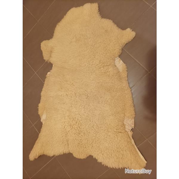 Peau de mouton