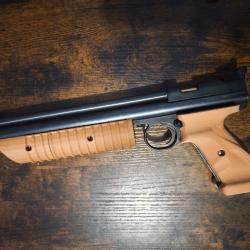 Kit plaquettes + pompe Crosman 1377