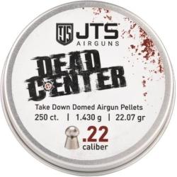 Plombs JTS JTS Dead Center Precision 5.5 mm 22.07 grain