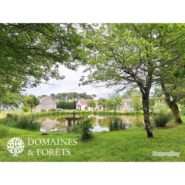 Propri�t� d'Agr�ment 9 hectares en Sologne (41) DF-1048-S