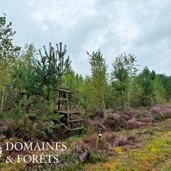 Propriété de chasse et d'Agrément dans le Cher 68 hectares DF-1062-S