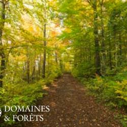 Propriété Forestière 35 hectares dans l'Aisne DF-251-A