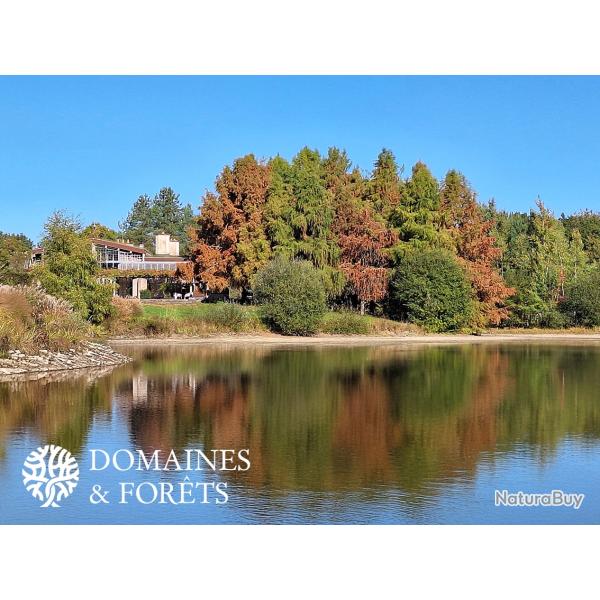 Domaine au coeur de La For�t D'Orl�ans (45) d'environ 15,4 hectares DF-1145-A