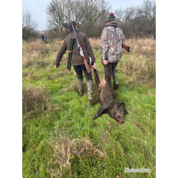 Actions de chasse aux sangliers dans la nievre