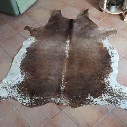 peau de vache d'argentine