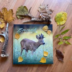 LIVRE BROCARD A EN PERDRE LA TETE