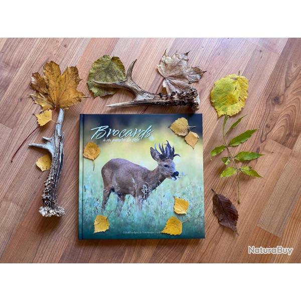 LIVRE BROCARD A EN PERDRE LA TETE