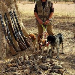 Campement de chasse de Guenoto.Safaris chasse du petit gibier et Phacochère, région de Tambacounda.
