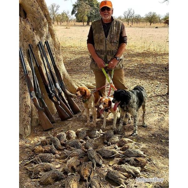 Campement de chasse de Guenoto.Safaris chasse du petit gibier et Phacochre, rgion de Tambacounda.