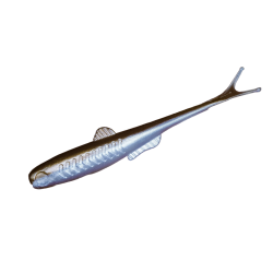 Optimus Finesse 120 & 140 - 120 : 1 Sachet = 5 Leurres / Chocolat (New 2025)