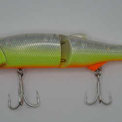 Swayward 16 : Spécial Gros Brochets - SY29MGG