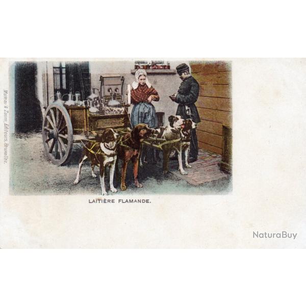 CPA - BELGIQUE / LAITIERE FLAMANDE N�4368