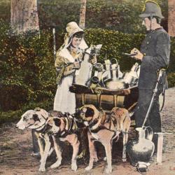 CPA - BELGIQUE / LAITIERE FLAMANDE N&deg;4369