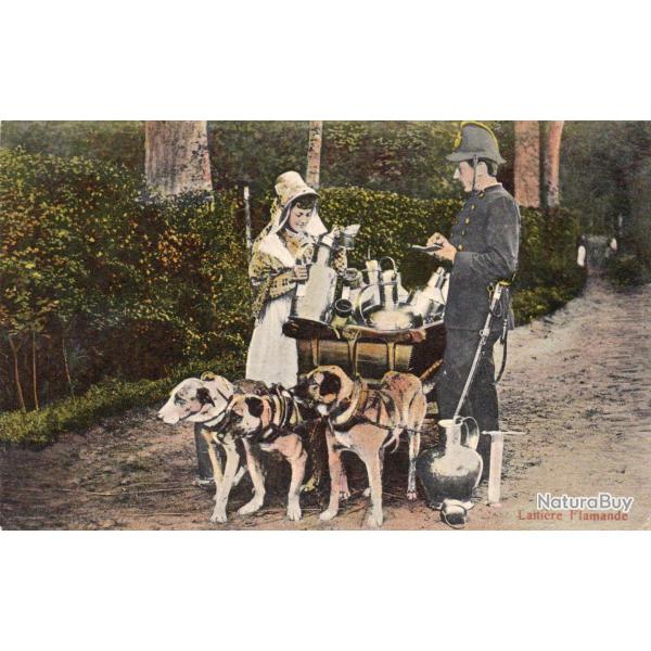 CPA - BELGIQUE / LAITIERE FLAMANDE N�4369